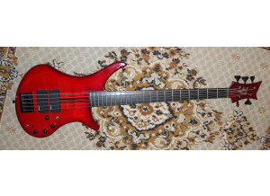 Vigier Passion 5 Strings (78756)