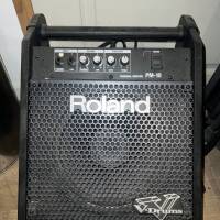 Vends enceinte amplifiée "bain de pieds" Roland PM-10