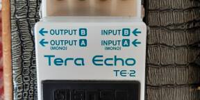 Vends delay boss tera echo