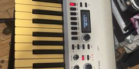 Korg Kingkorg plus fly case