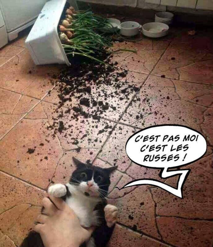 6743212.jpg 6743212.jpg