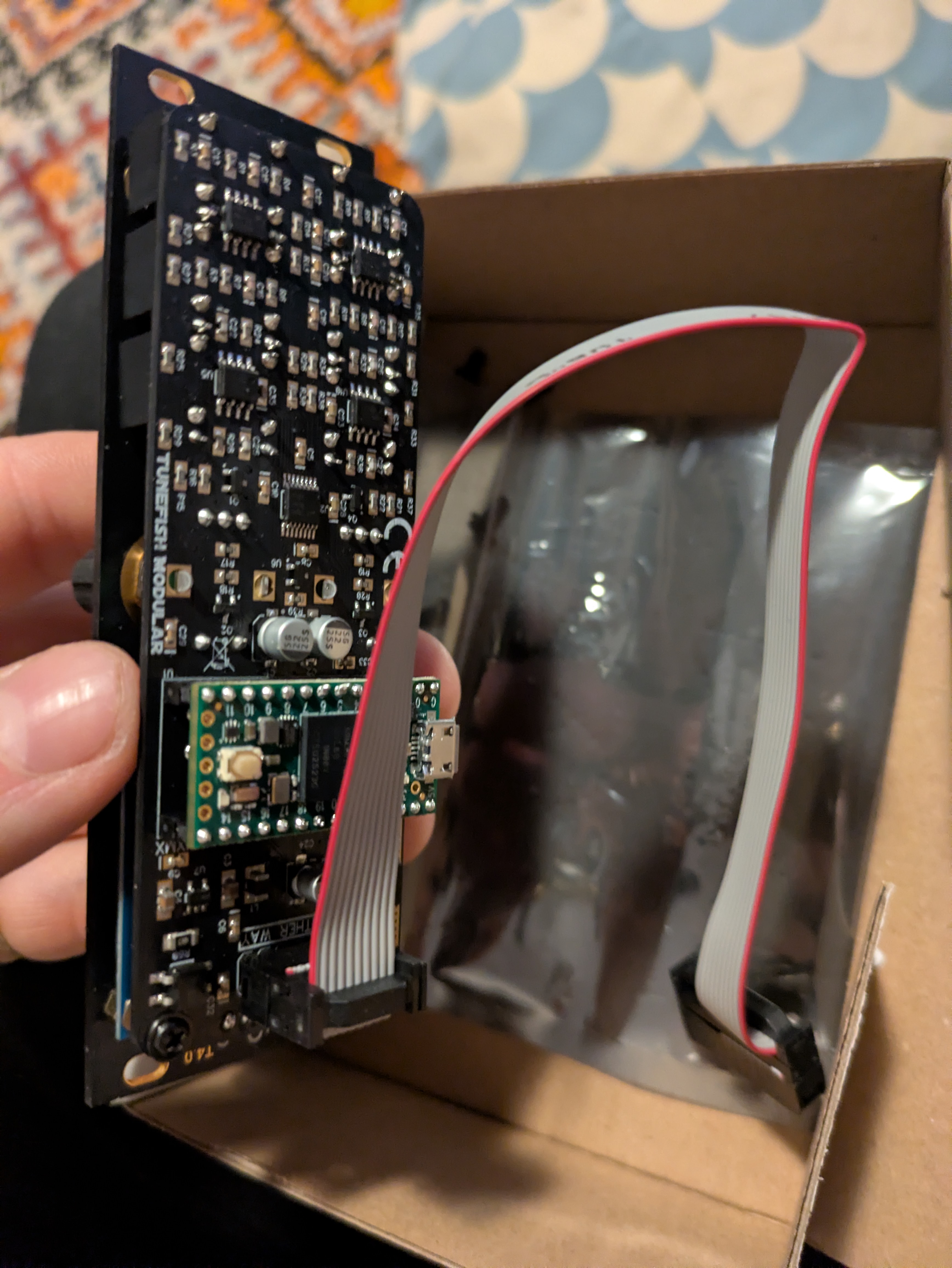 Ornament and Crime 8hp