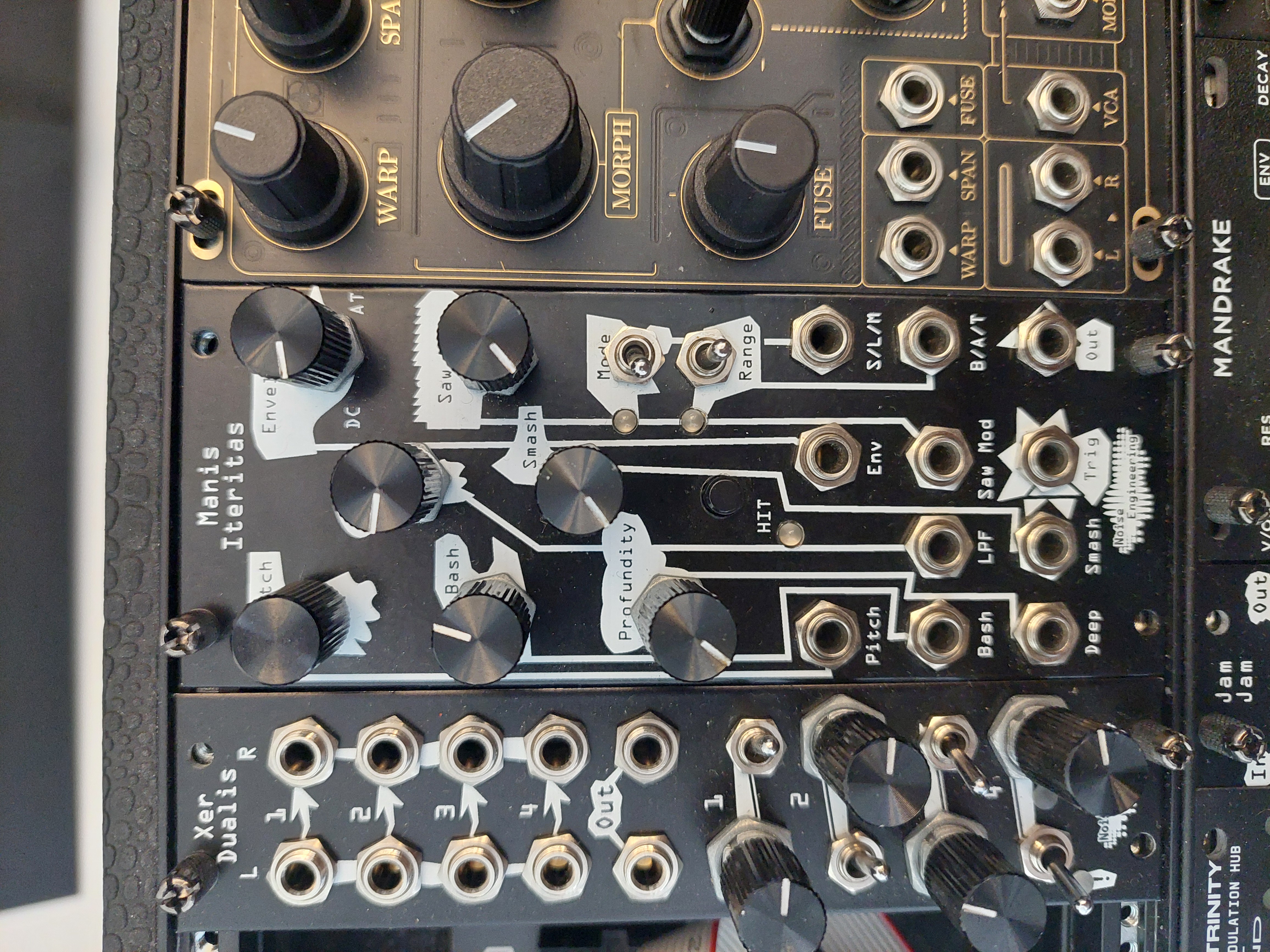 Vends Manis Iteritas