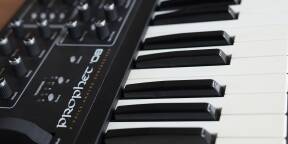 Dave Smith Instruments Prophet 08 (Pot Edition)