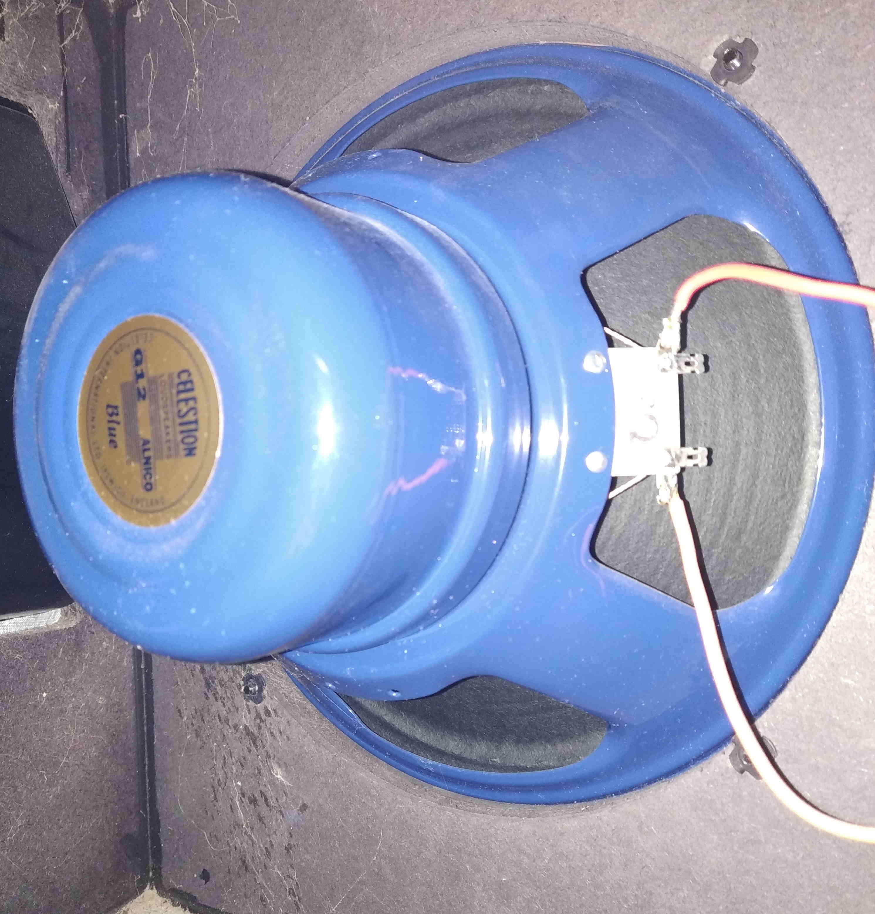 Celestion Blue-3