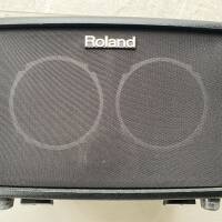 Ampli combo guitare acoustic et voix Roland AC 33