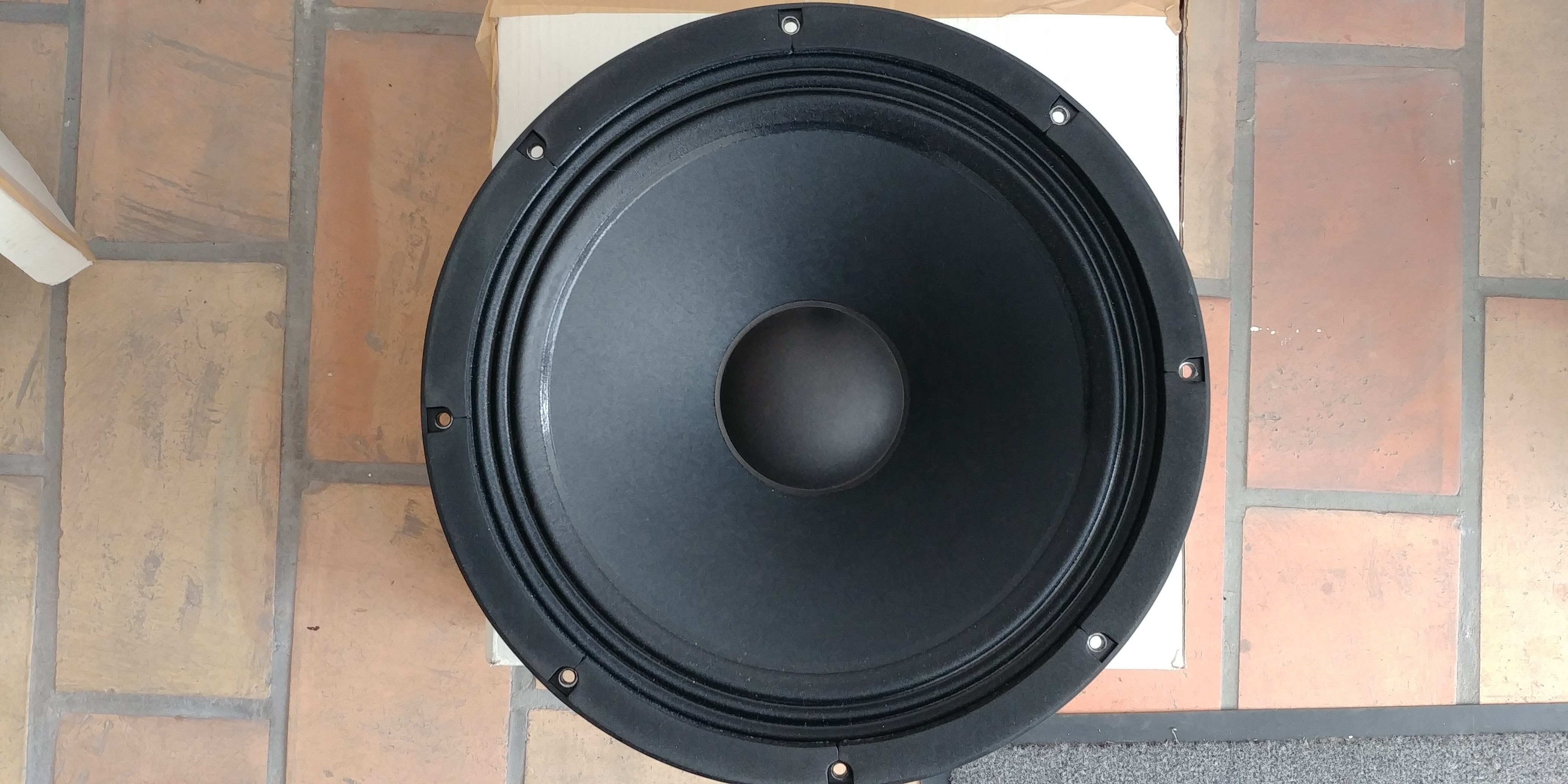 Paire de haut-parleur 40 cm Visaton BGS 40