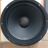 Paire de haut-parleur 40 cm Visaton BGS 40