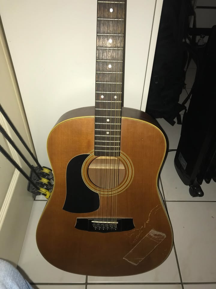 ARIA 12 CORDES ELECTRO ACOUSTIQUE GAUCHERE