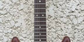 Guitare Vantage VP795