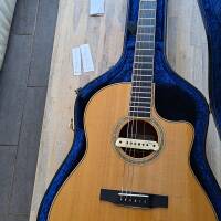 Vends guitare Larrivée LV-05E