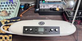 Vends Thérémini MOOG Complet & d'origine