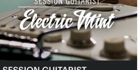 Mint electric guitare Native Instruments
