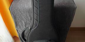 Reunion Blues RBCE1 Continental Voyager El. Guitar