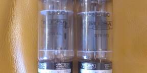 1er Mesa/Boogie 6L6 STR440 duet assortis