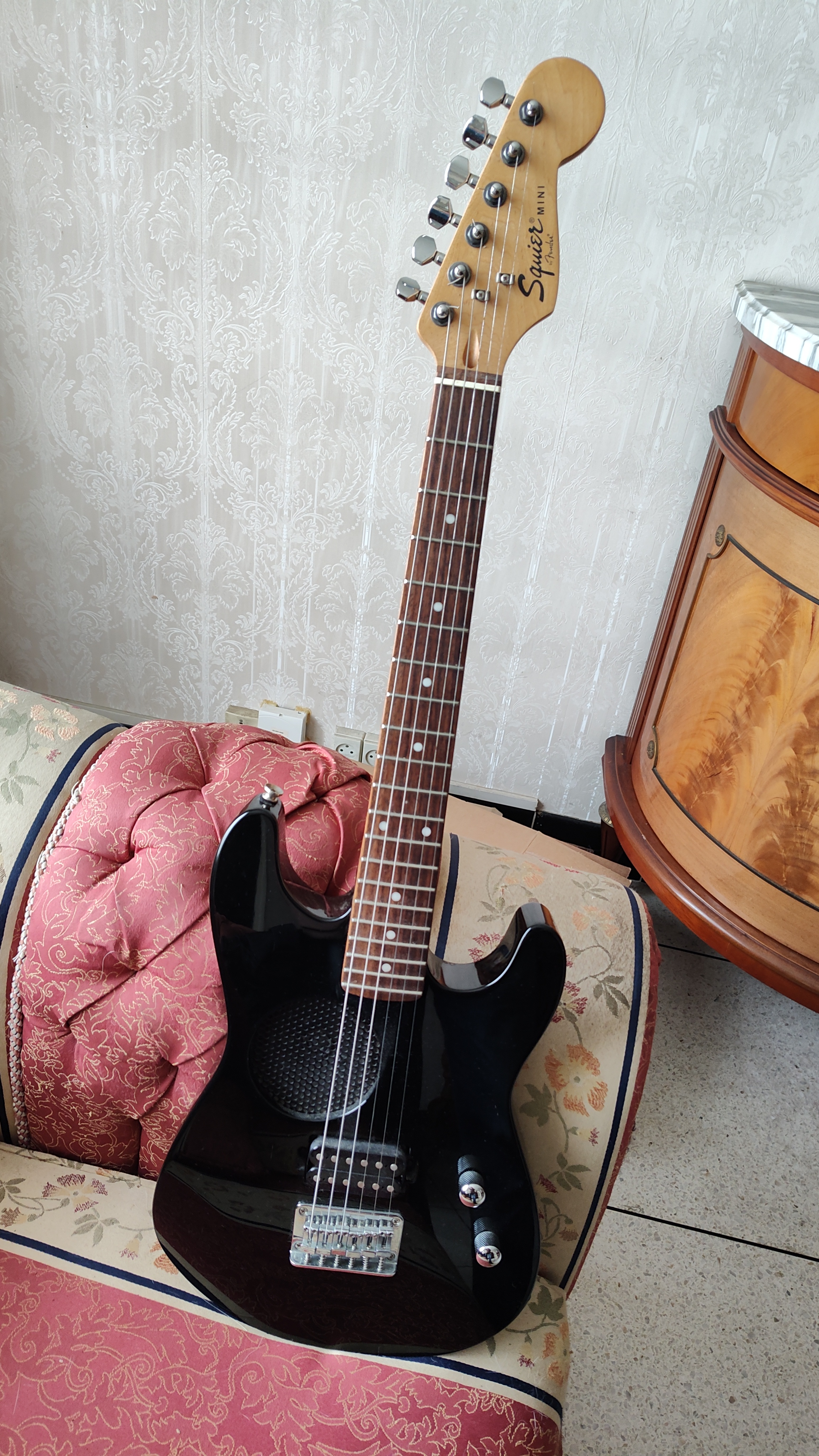 Squier Mini Player RP 755