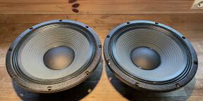 Paire de haut‑parleur HP Eden / Eminence 12XST‑16 – 16 Ω – État impeccable