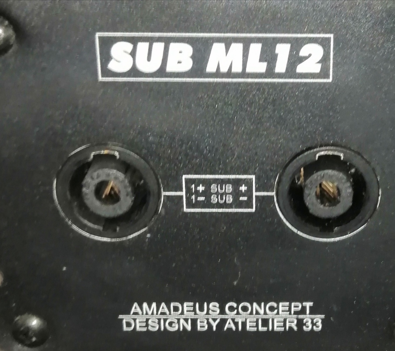 1 Caisson basse amadeus ml12