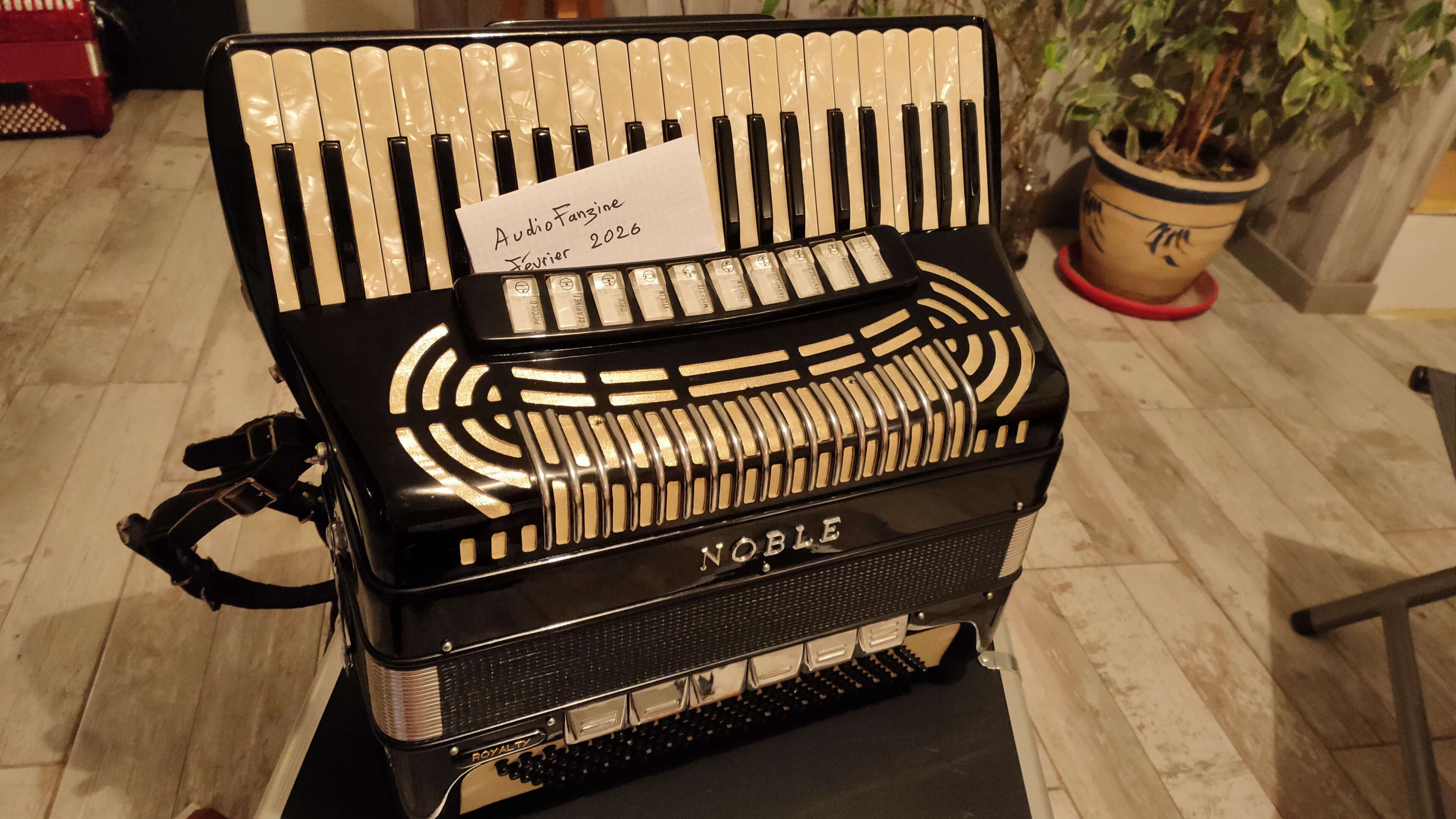 Accordéon italien Noble Royalty en excellentes conditions