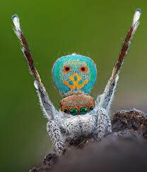 6748567.jpg 6748567.jpg