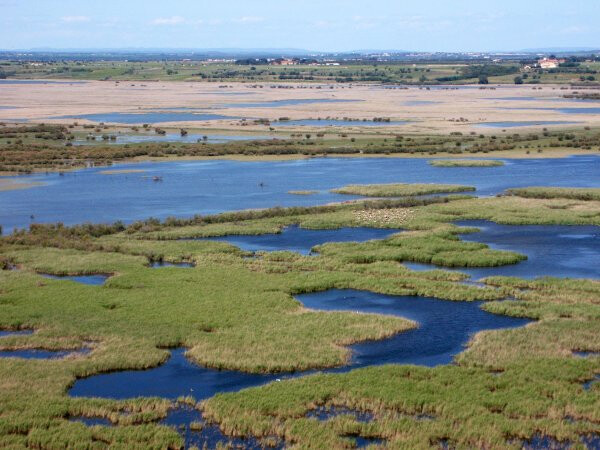 6748641.jpg 6748641.jpg