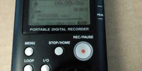 Tascam DR-1. Enregistreur numérique