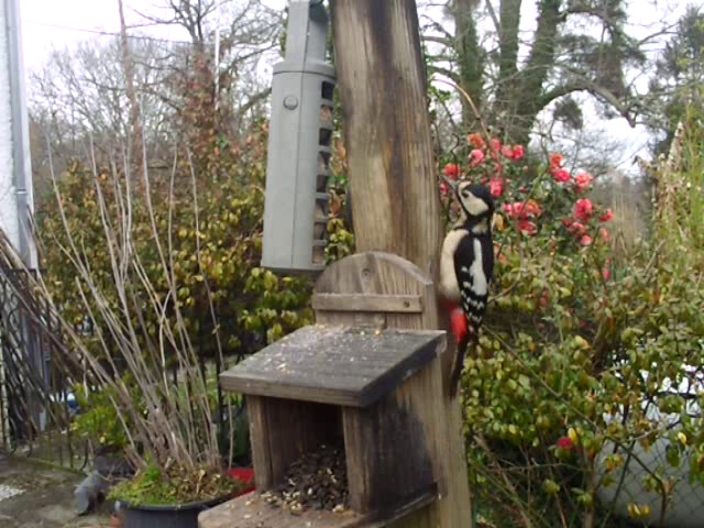 6750400.png 6750400.png