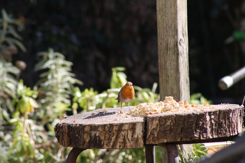 6750401.jpg 6750401.jpg