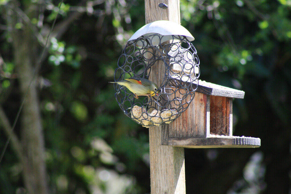 6750413.jpg 6750413.jpg