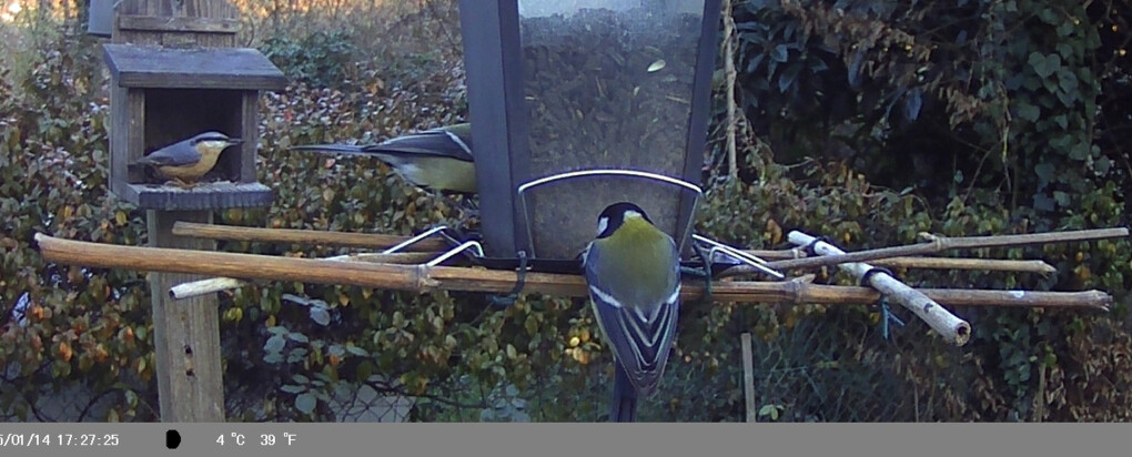 6750417.jpg 6750417.jpg