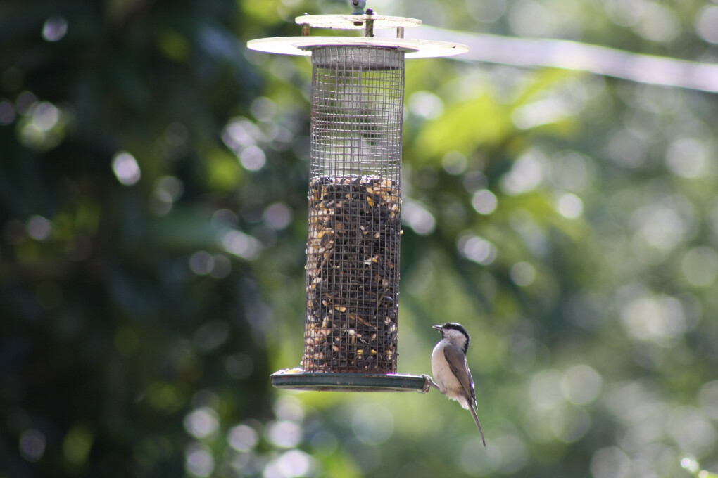 6750420.jpg 6750420.jpg