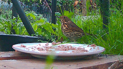 6750421.jpg 6750421.jpg