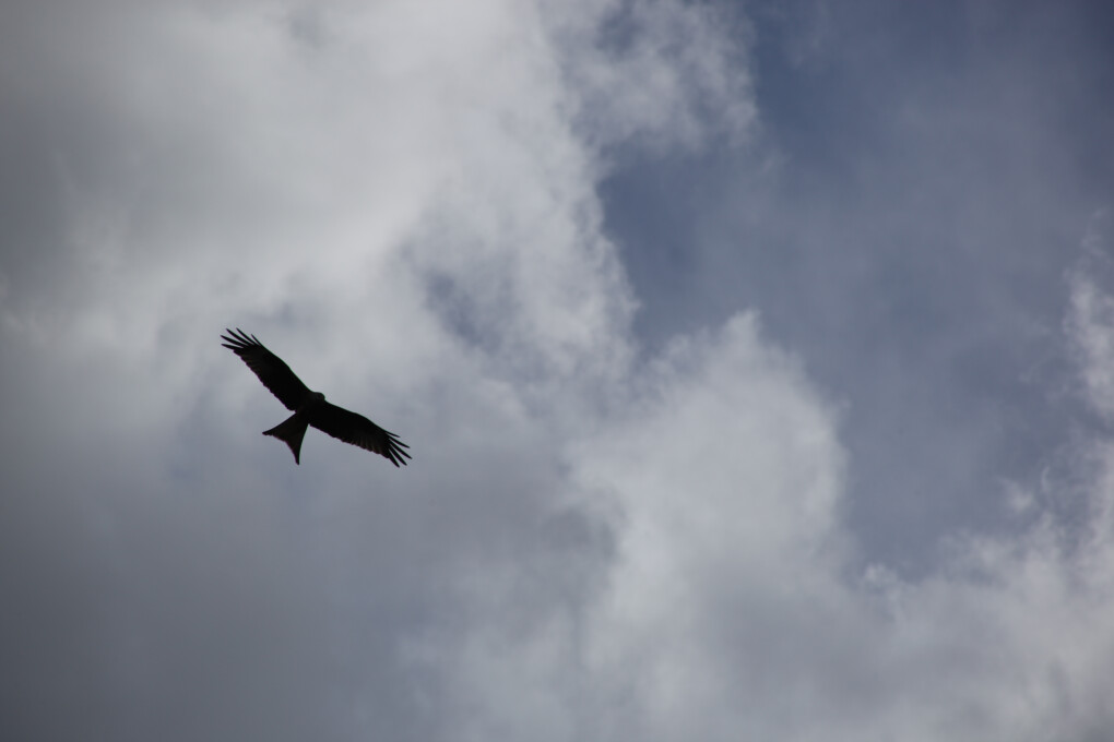 6750425.jpg 6750425.jpg