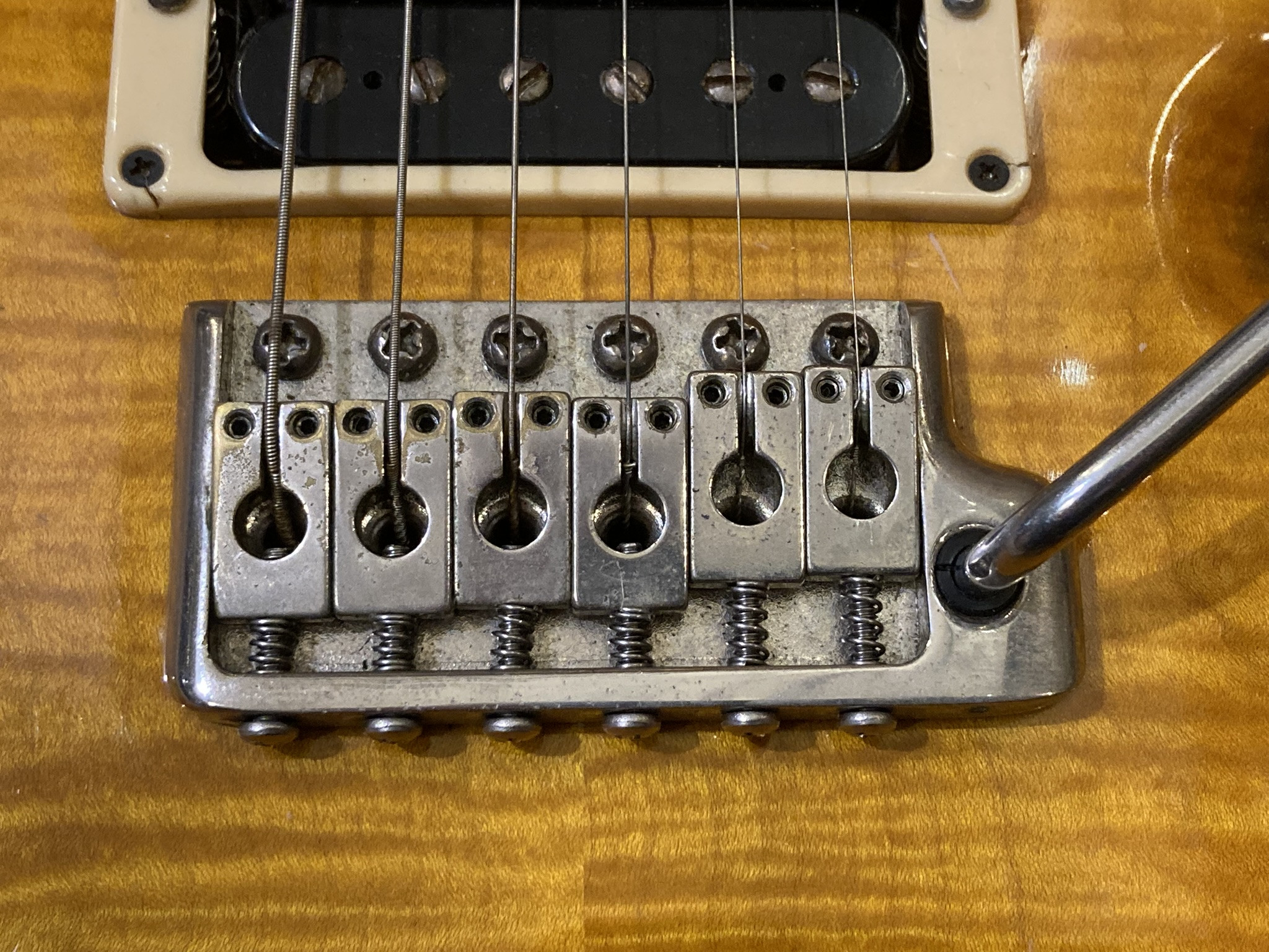 PRS CE 24 (?-2015) (4107)