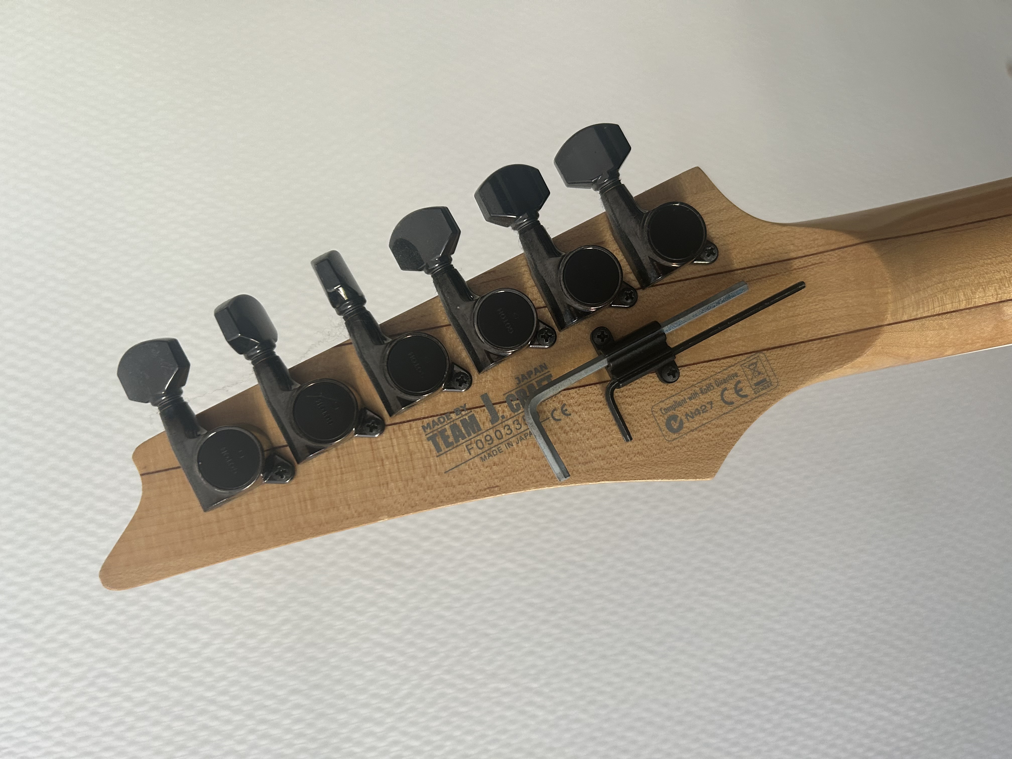 Ibanez RG3550MZ (25097)