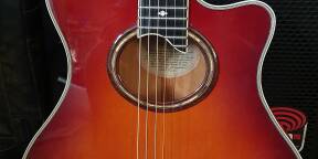 VDS Guitare électro-acoustique YAMAHA APX10