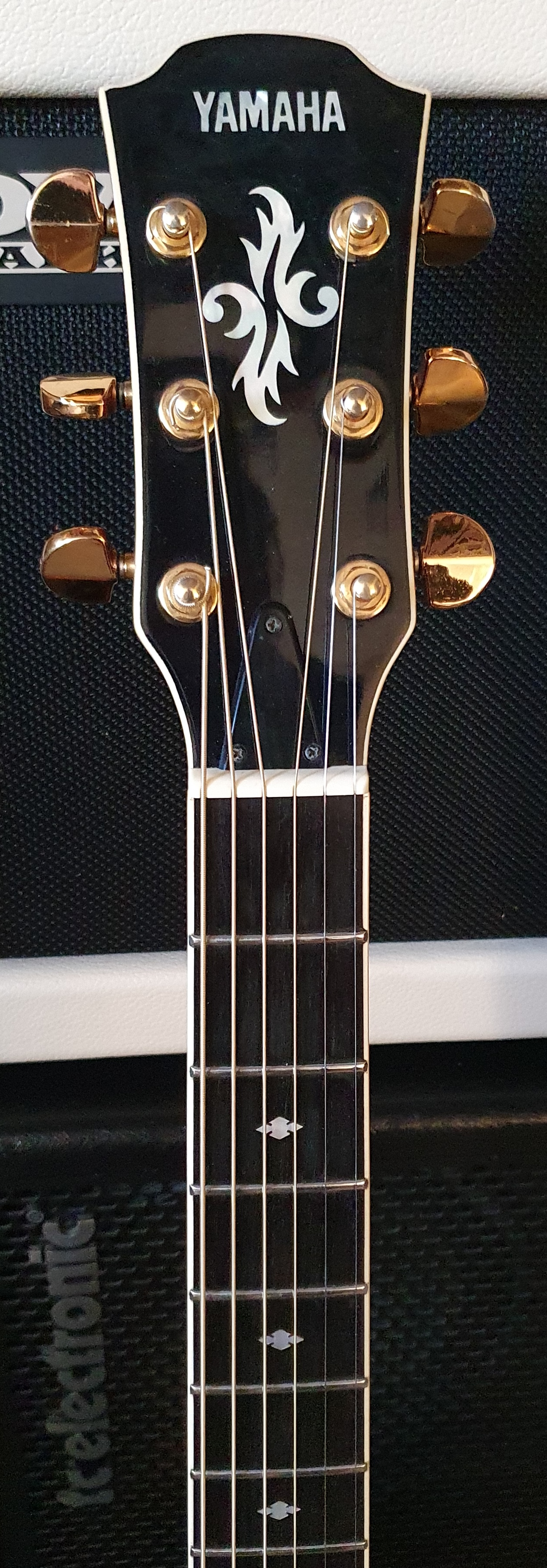 yamaha apx10-6