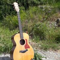 GUITARE FOLK ELECTRO-ACOUSTIQUE TAYLOR 314e