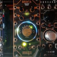 Module Eurorack - Error Instruments Brinta Granular Sampler