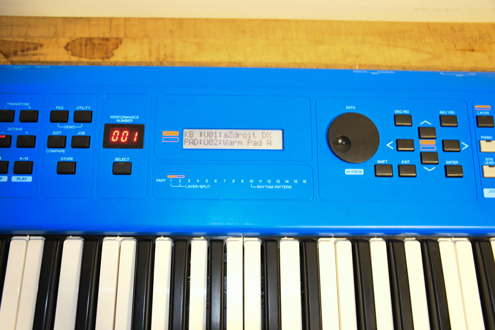 DSC 5941