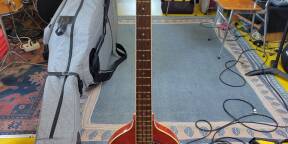 Basse violon EKO début 2000 rare