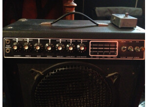 Mesa Boogie DC-10 Combo (3170)