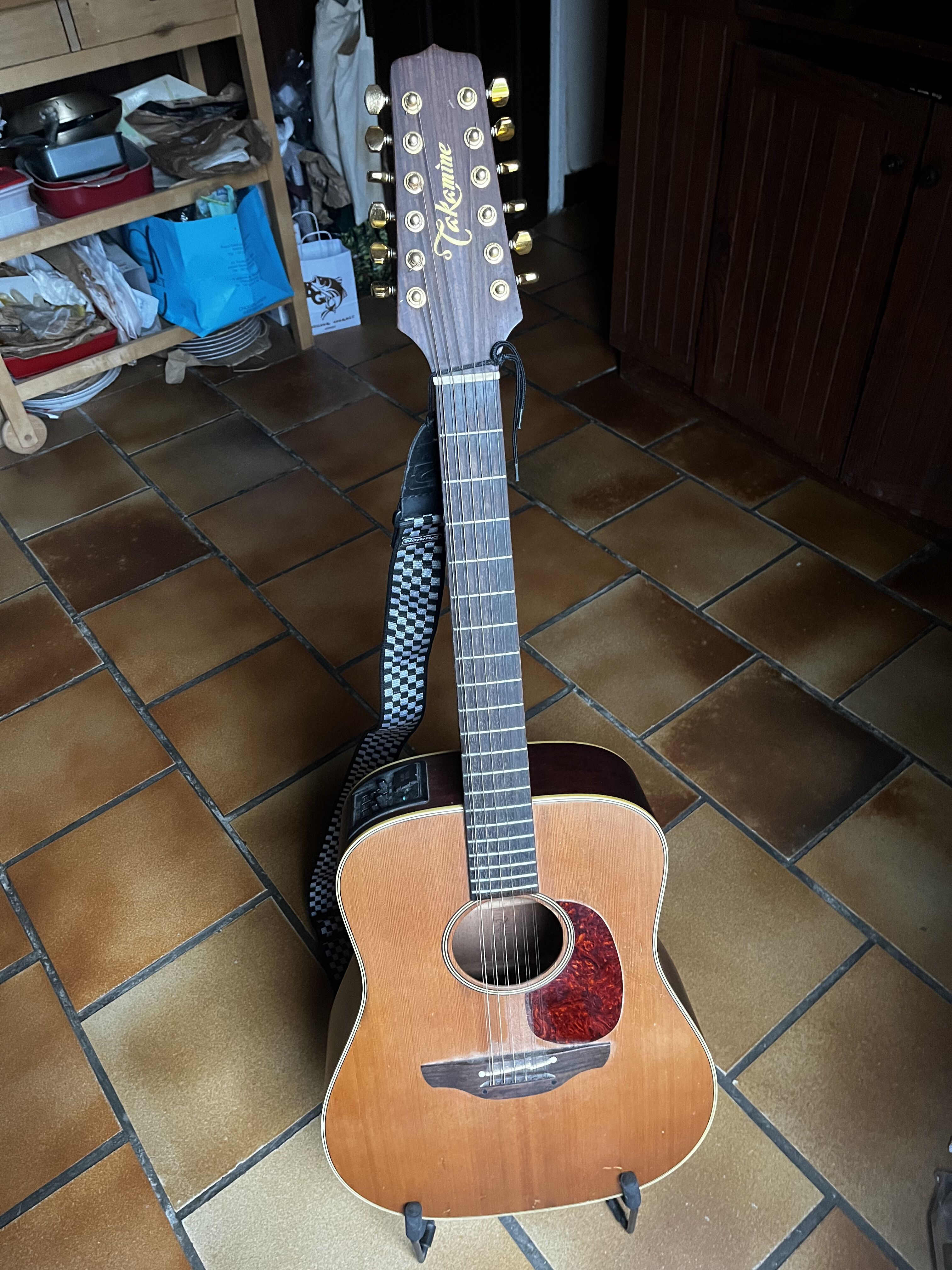 Vends Takamine EN10-12 avec Housse