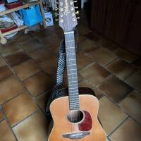 Vends Takamine EN10-12 avec Housse