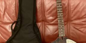 Magnifique Danelectro Baby Sitar ! Un son de légende !