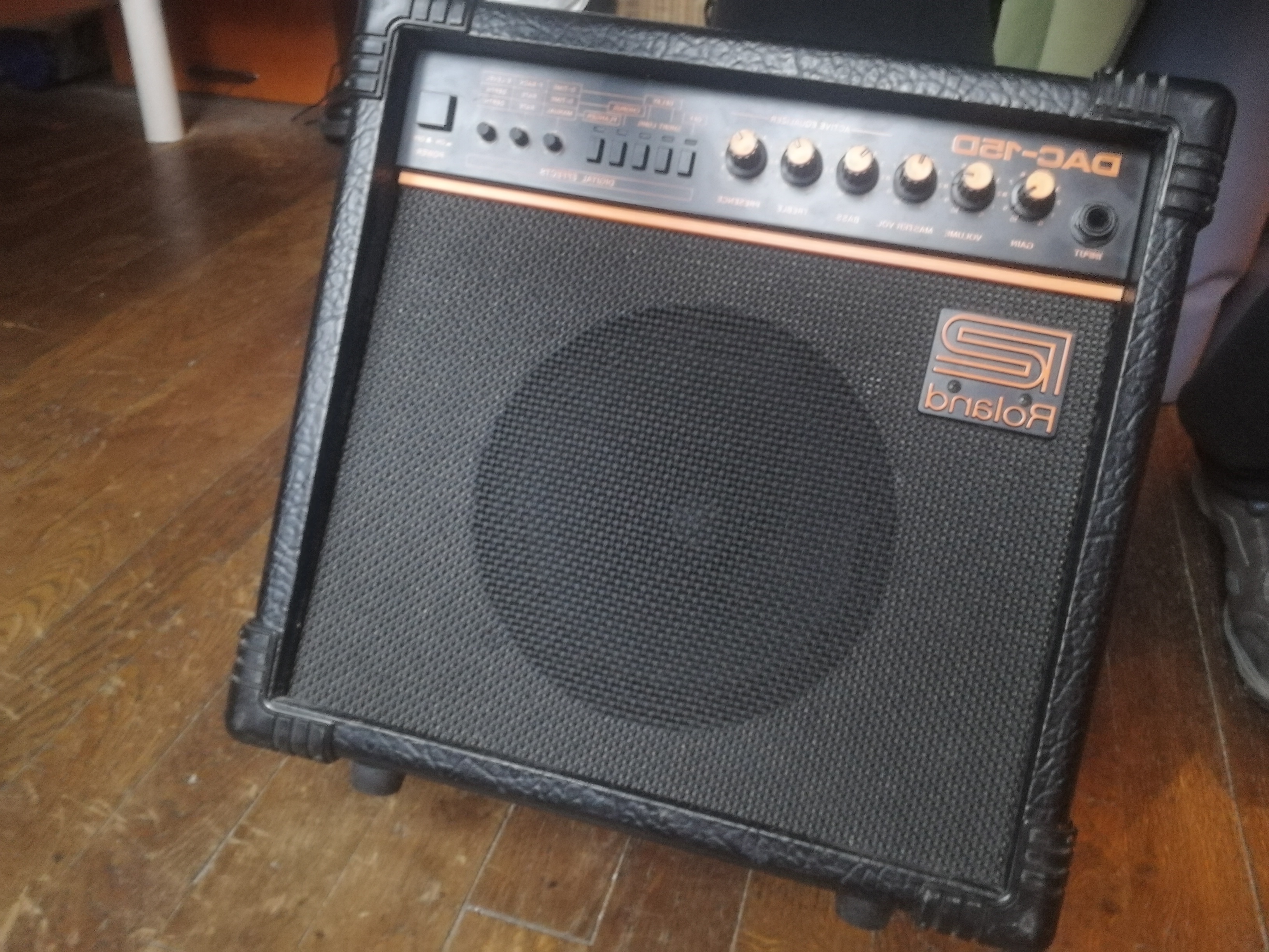 Roland Dac 15 D + cab DIY 10" Roland