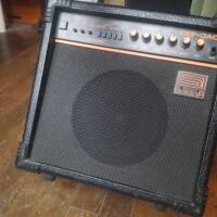 Roland Dac 15 D + cab DIY 10" Roland