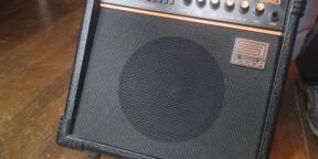 Roland Dac 15 D + cab DIY 10" Roland