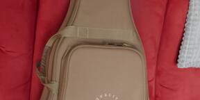 Vends lot Taylor 214ce + Ampli Marshall AS50D