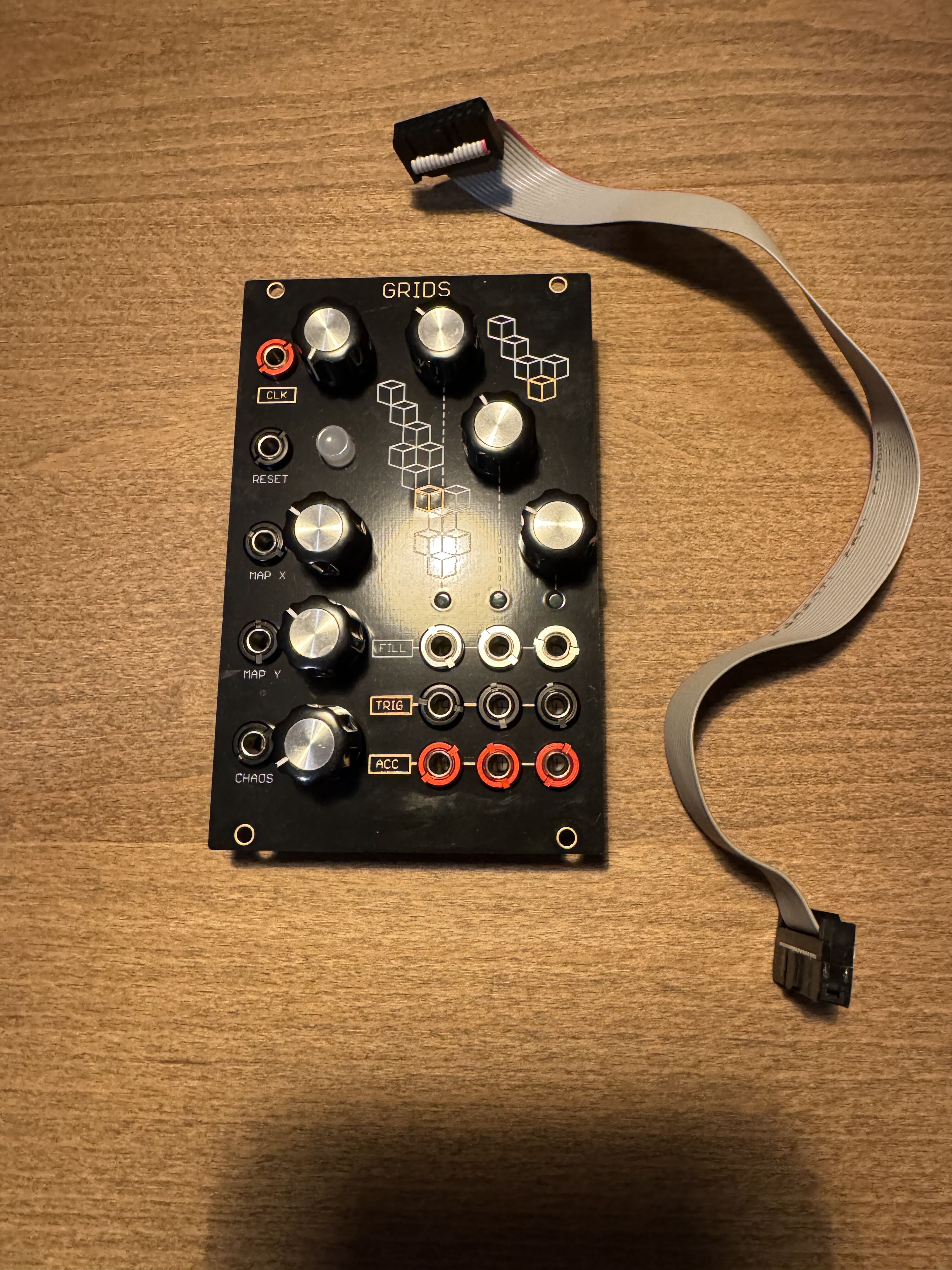 Grids Oscillosaurus – Module Eurorack – État impeccable